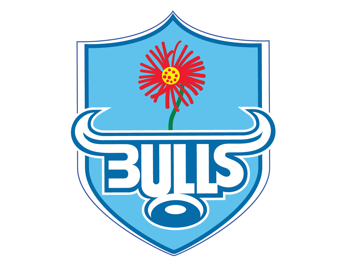 Proud Partner of the Bulls Rugby team
